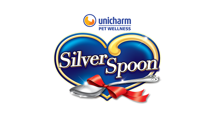 Silver Spoon 